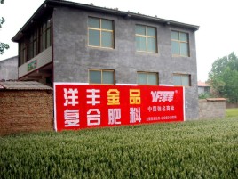 兰坪如何让墙体广告展现最大化效果