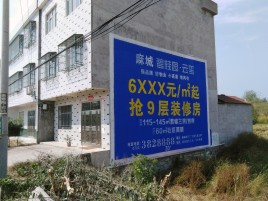 兰坪墙体广告质量分析