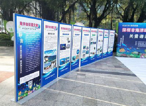 兰坪KT板的种类和知识。